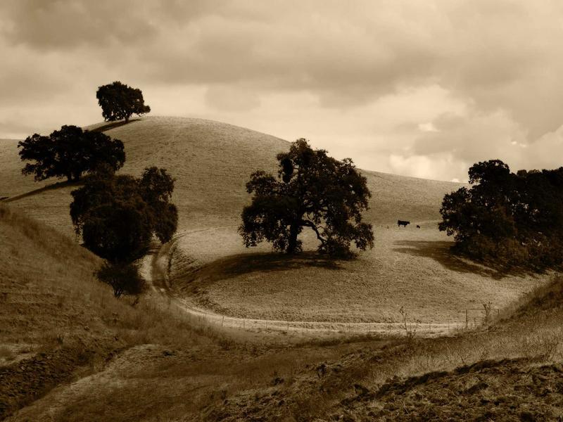 sudoku hidden singles screenshot 4