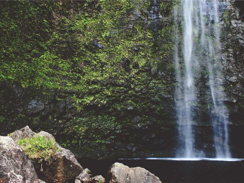 sudoku hidden singles screenshot 3